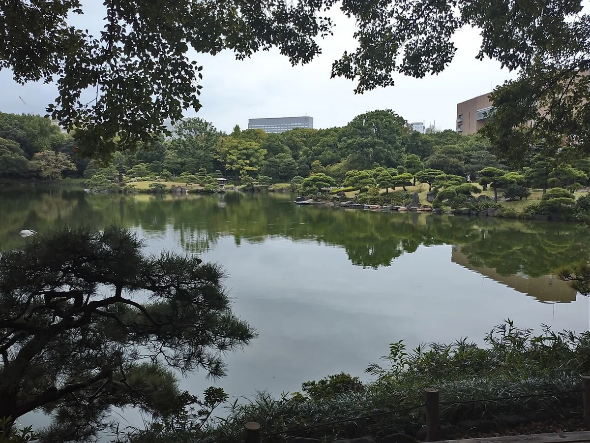 画像6