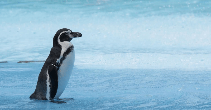 ファーストペンギンはつらいよ