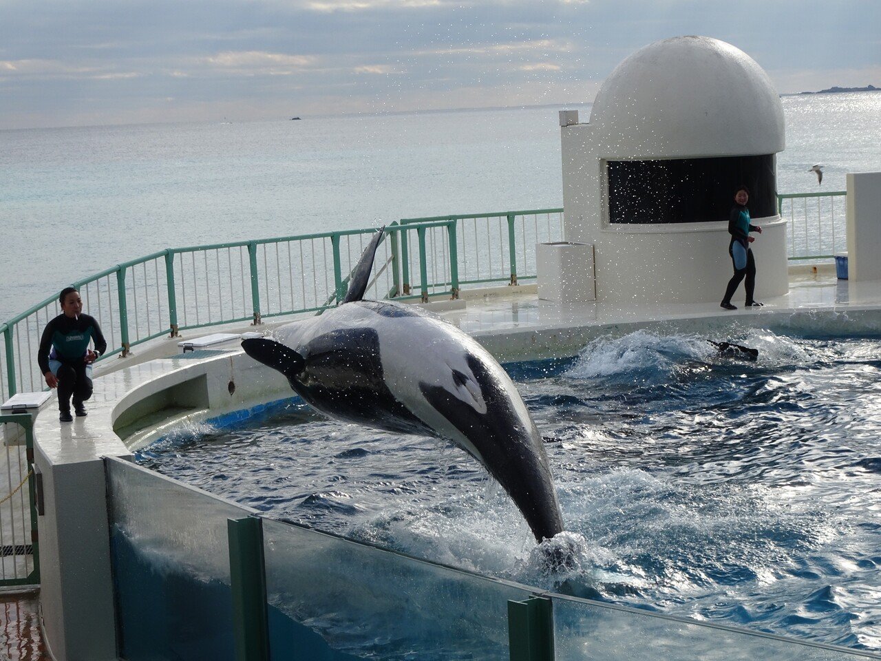 鴨川シーワールドのシャチのパフォーマンスで使われている曲 わかとら Note 鴨川シーワールドのシャチのパフォーマンスで使われている曲 わかとら Note