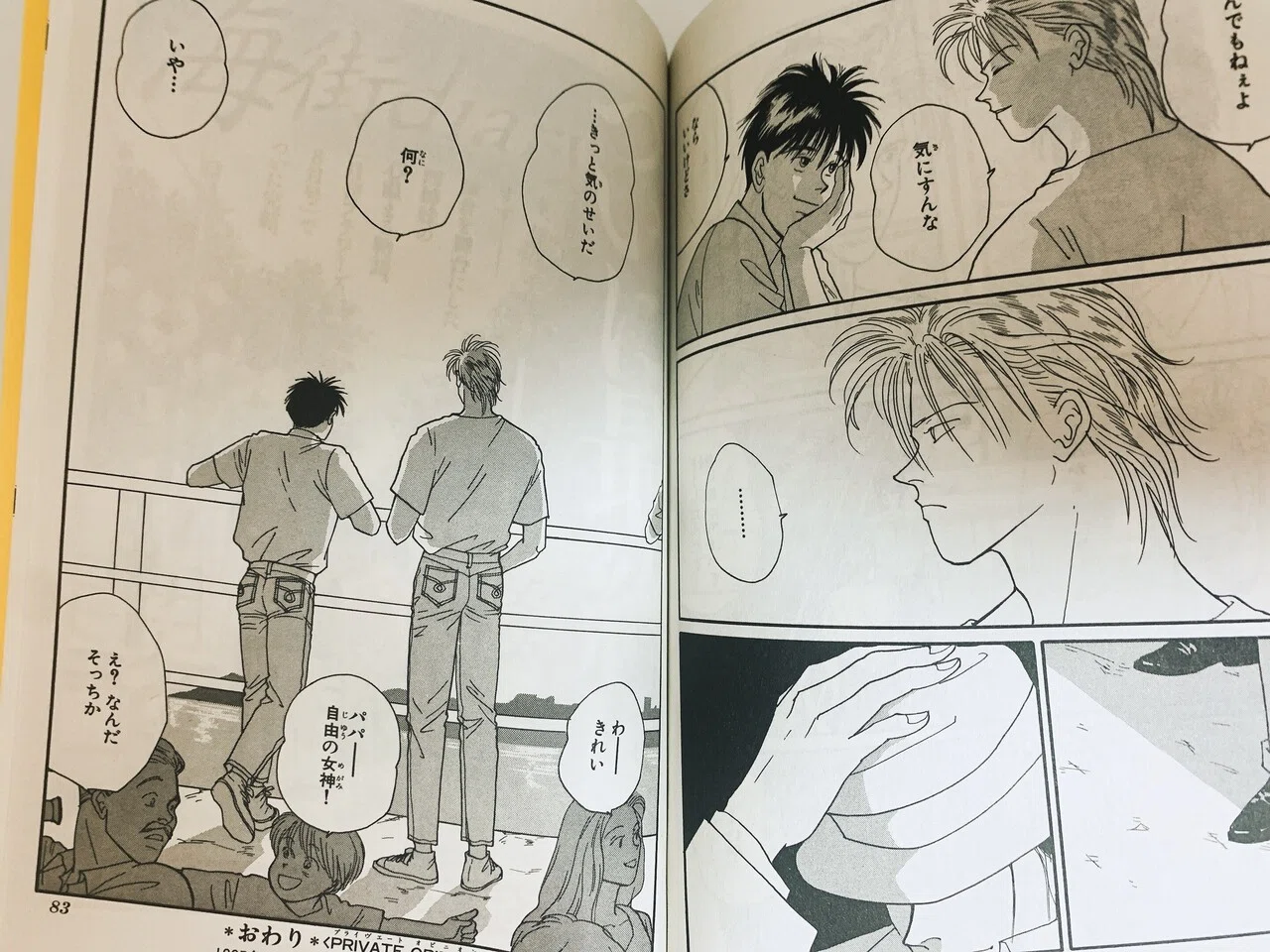 BANANA FISH 全19巻 PRIVATE OPINION(番外編)と画集 BANANA FISH