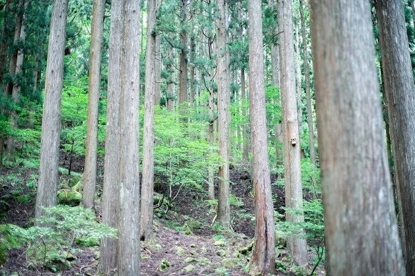 画像6