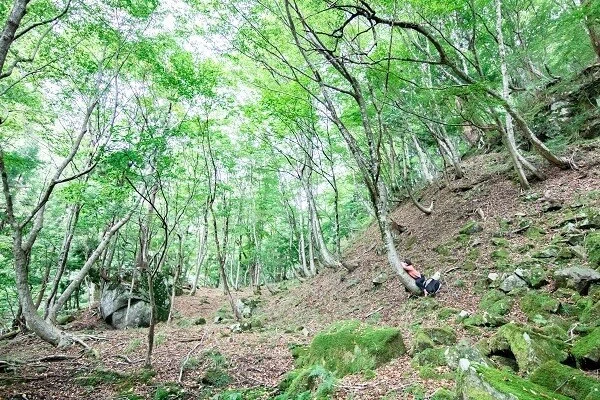 画像15