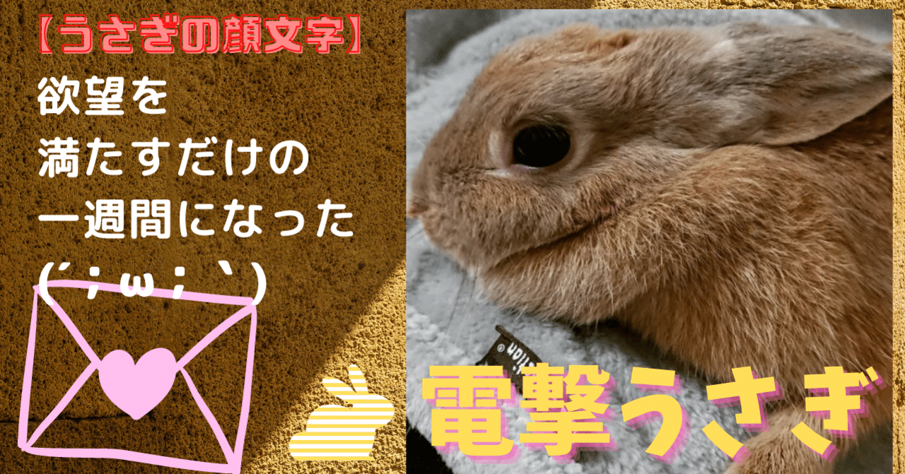 うさぎの顔文字 の新着タグ記事一覧 Note つくる つながる とどける