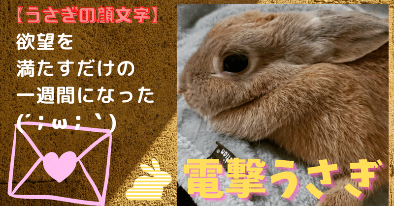 うさぎの顔文字 の新着タグ記事一覧 Note つくる つながる とどける