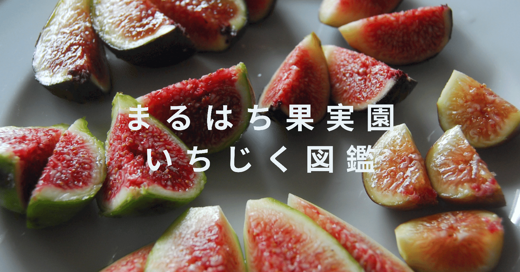 いちじく 品種 一覧】Fig Varieties List ｜世界のいちじく育てよう