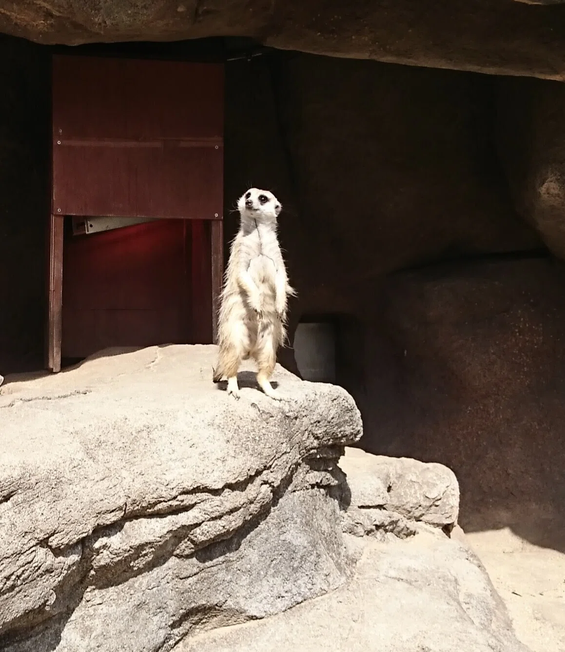 画像16