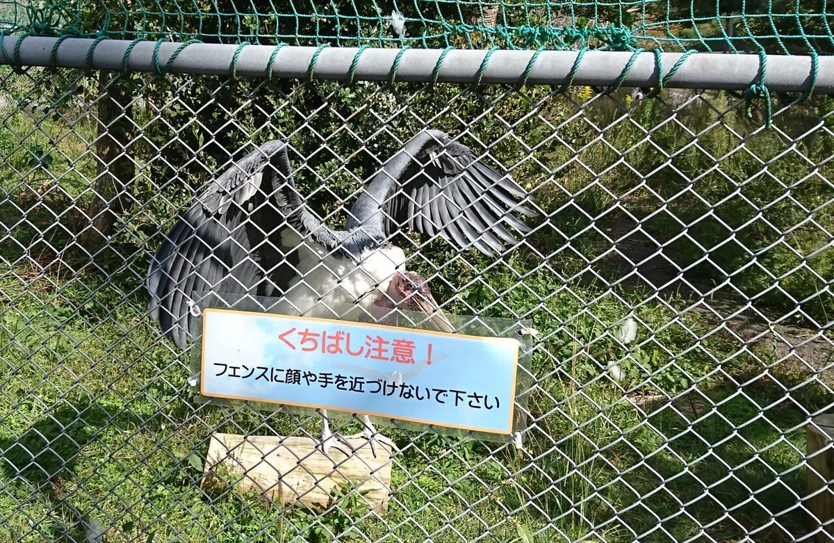 画像29