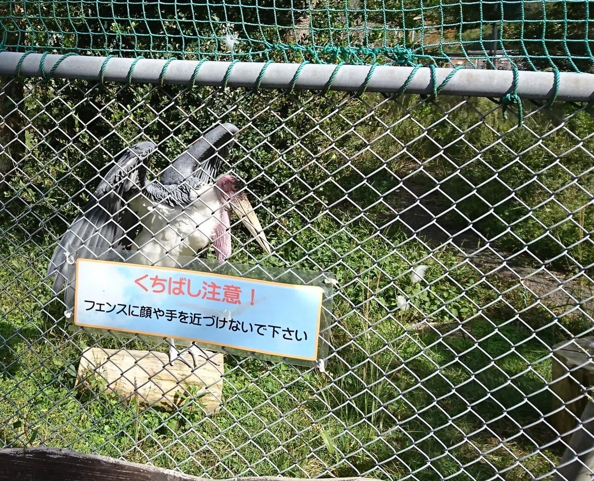 画像30