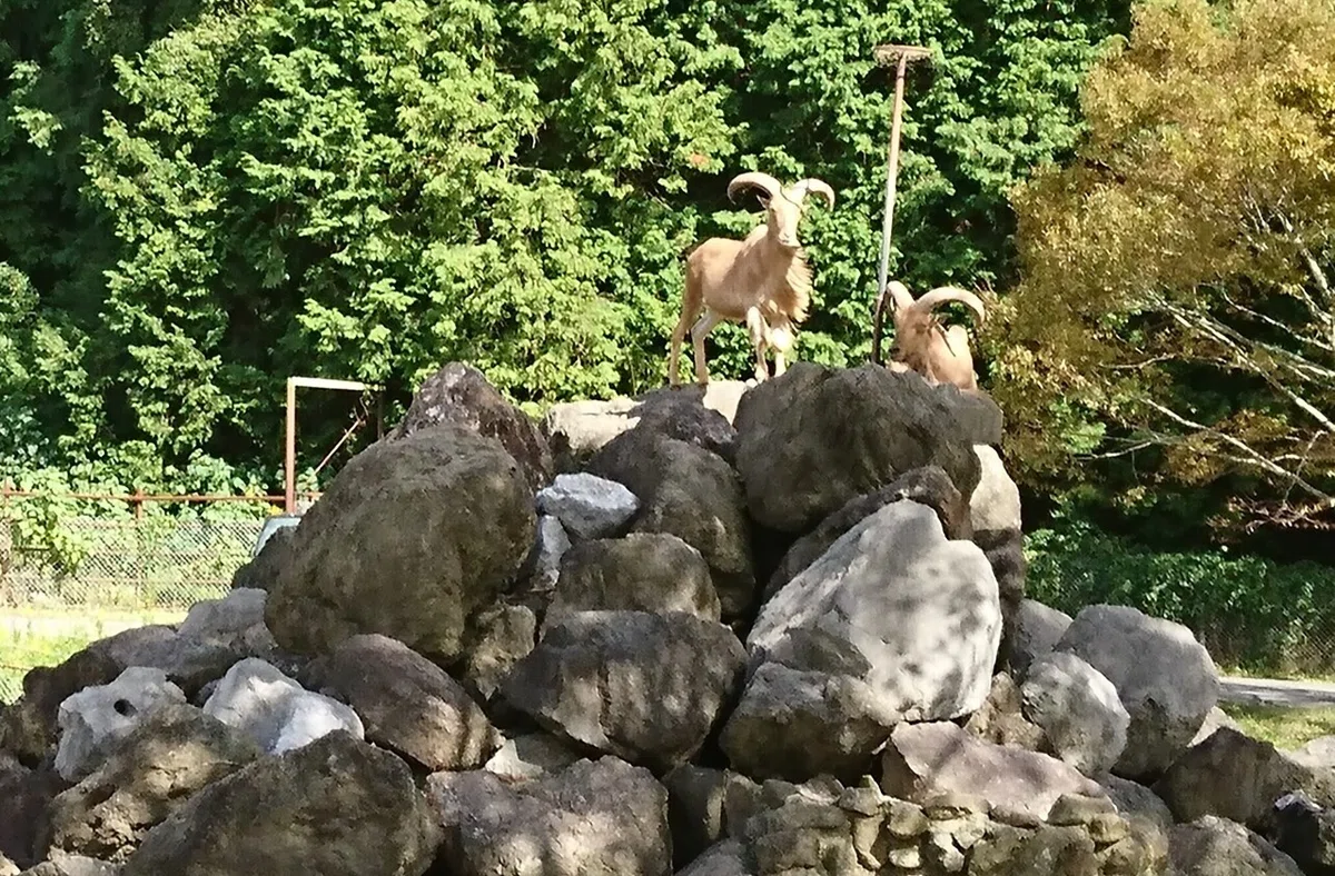 画像31