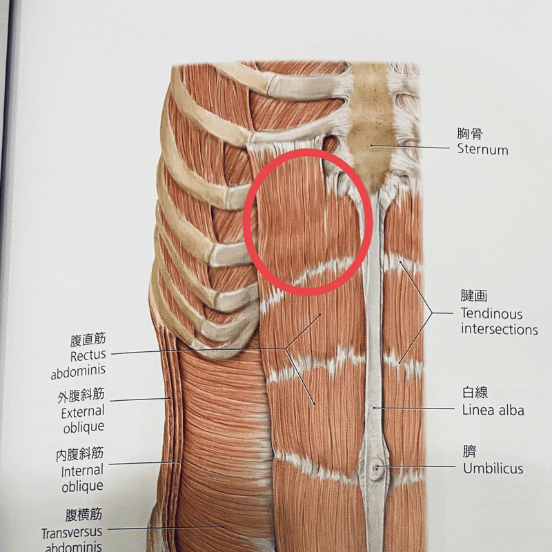 画像19