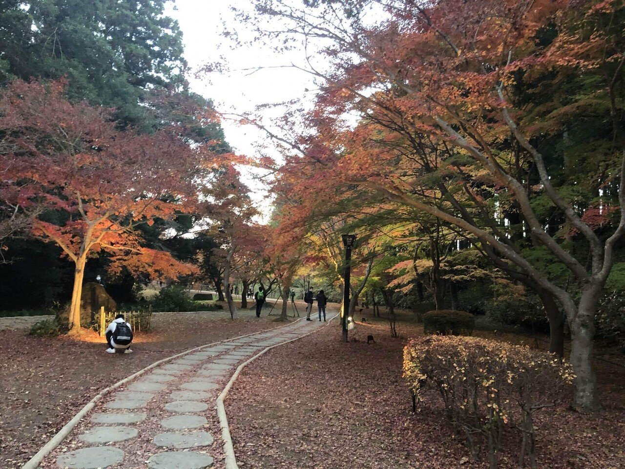 昨年水戸で撮った紅葉 あんまり人もいないし穴場でした 水戸 紅葉 秋 寒くなってきた 綺麗 楠原さくらこ Note