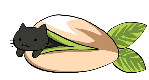ピスタチオ猫