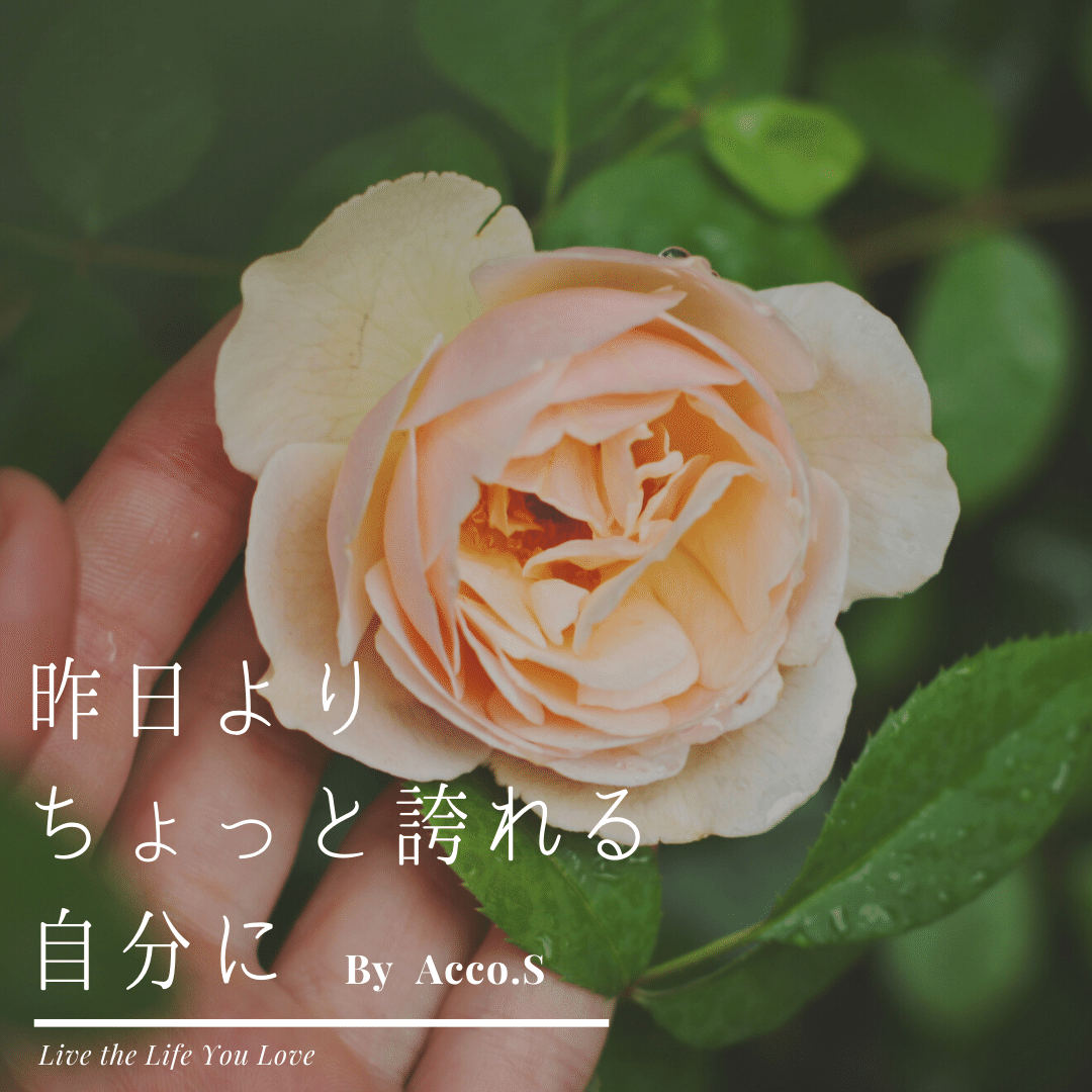 昨日よりflower