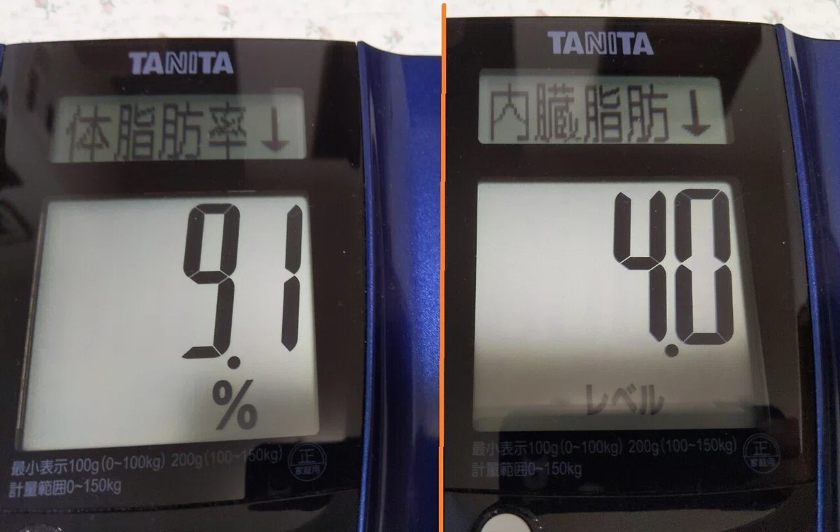 体脂肪率内臓脂肪