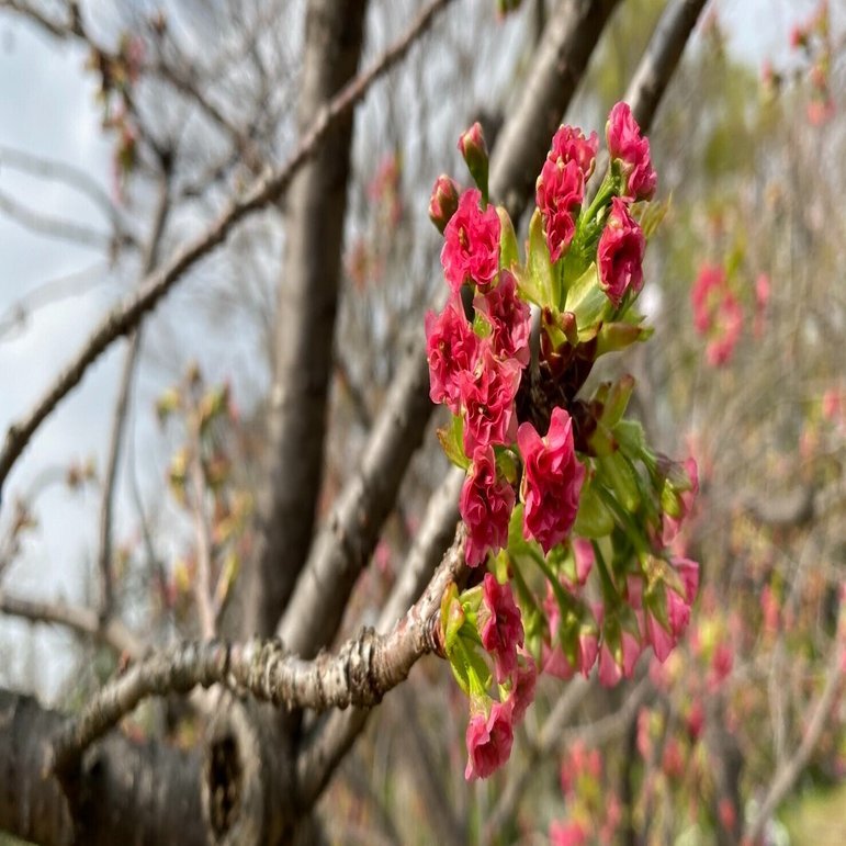 頼られる人ほど 誰にも頼れない 稲福竜生 Note