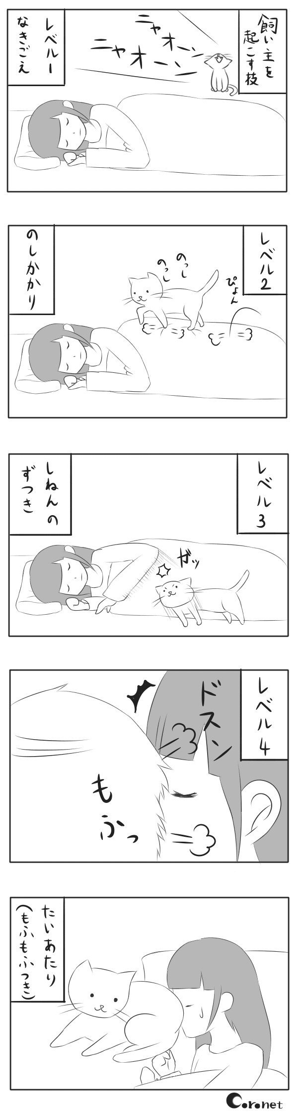 ねこ漫画 その14 寝たい飼い主 Vs 起こしたい猫 Coronet Note ねこ漫画 その14 寝たい飼い主 Vs 起こしたい猫 Coronet Note
