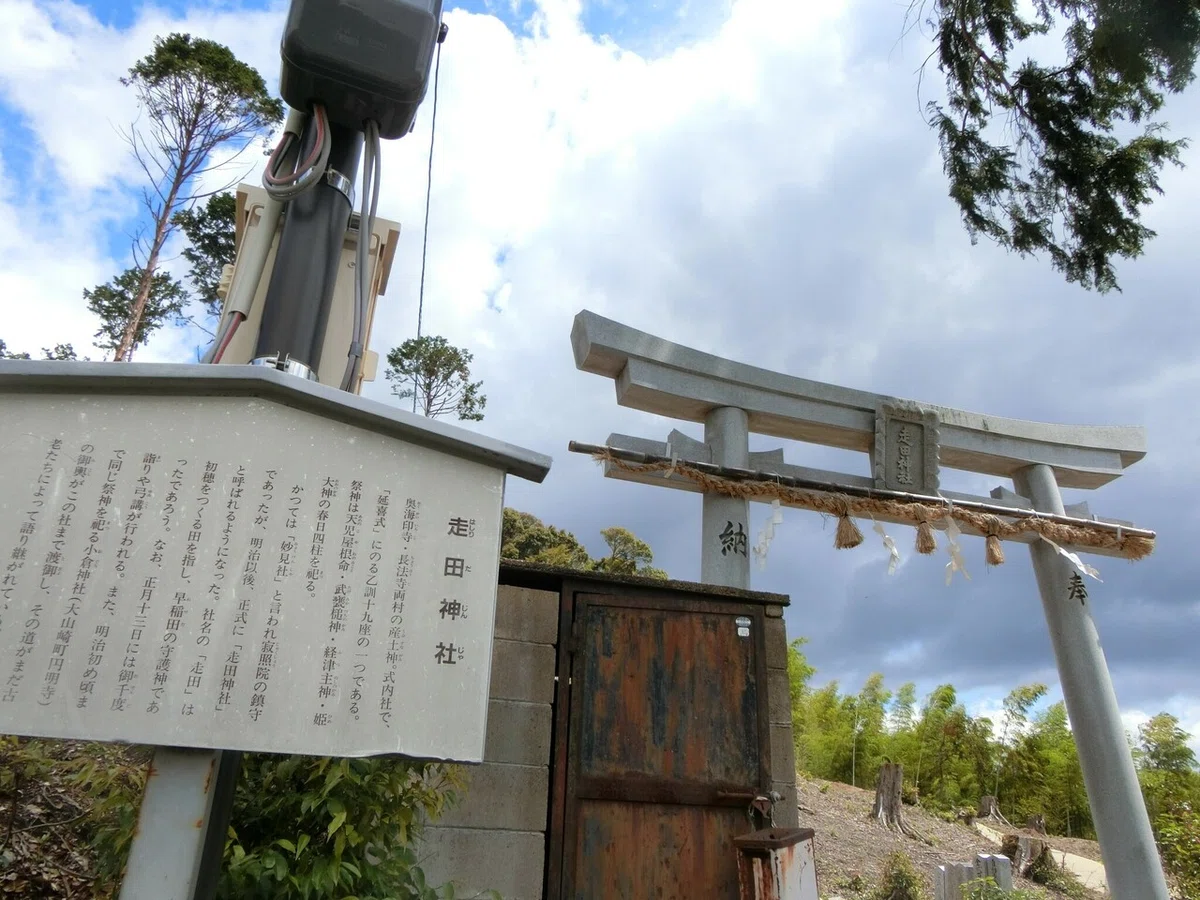 画像4