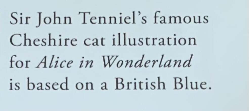 笑う って英語では くどうようこ 同時通訳者の英語コーチ Note