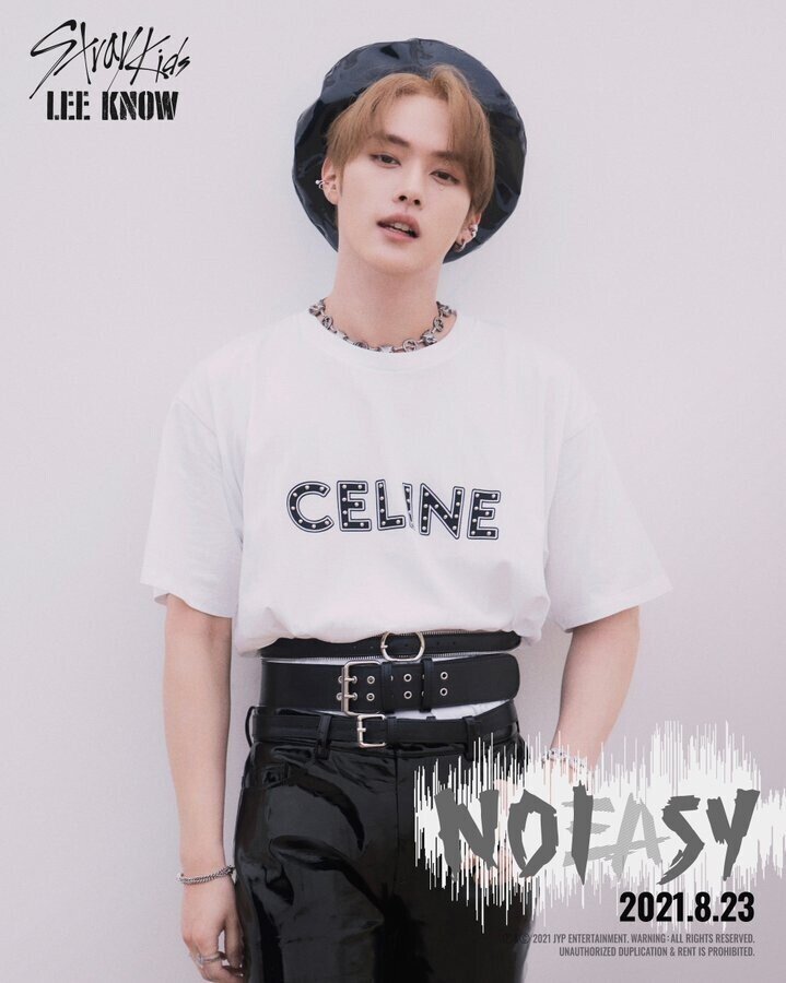 スキズ リノ あさ ぬいぐるみ リニャンイ Lee Know 리노 スキズ リノ あさ ぬいぐるみ リニャンイ Lee Know 리노