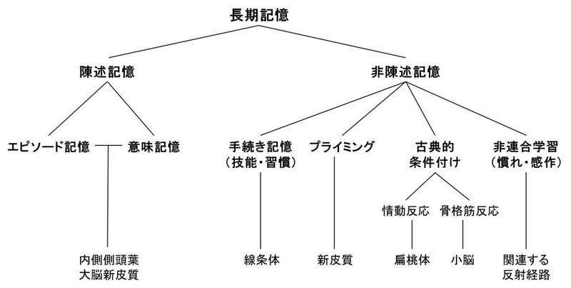 記憶の分類