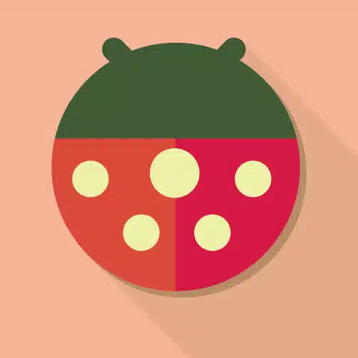 いまにしえうか