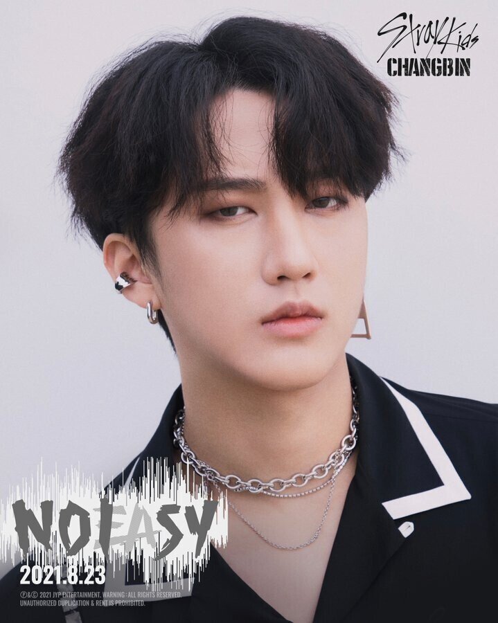 Stray Kids Japan Official on X: 