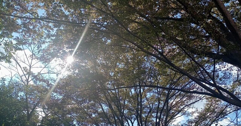 この気持ちを伝えたい の新着タグ記事一覧 Note つくる つながる とどける