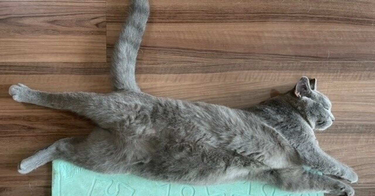 ペット保険」の新着タグ記事一覧｜note u2015u2015つくる、つながる、とどける。