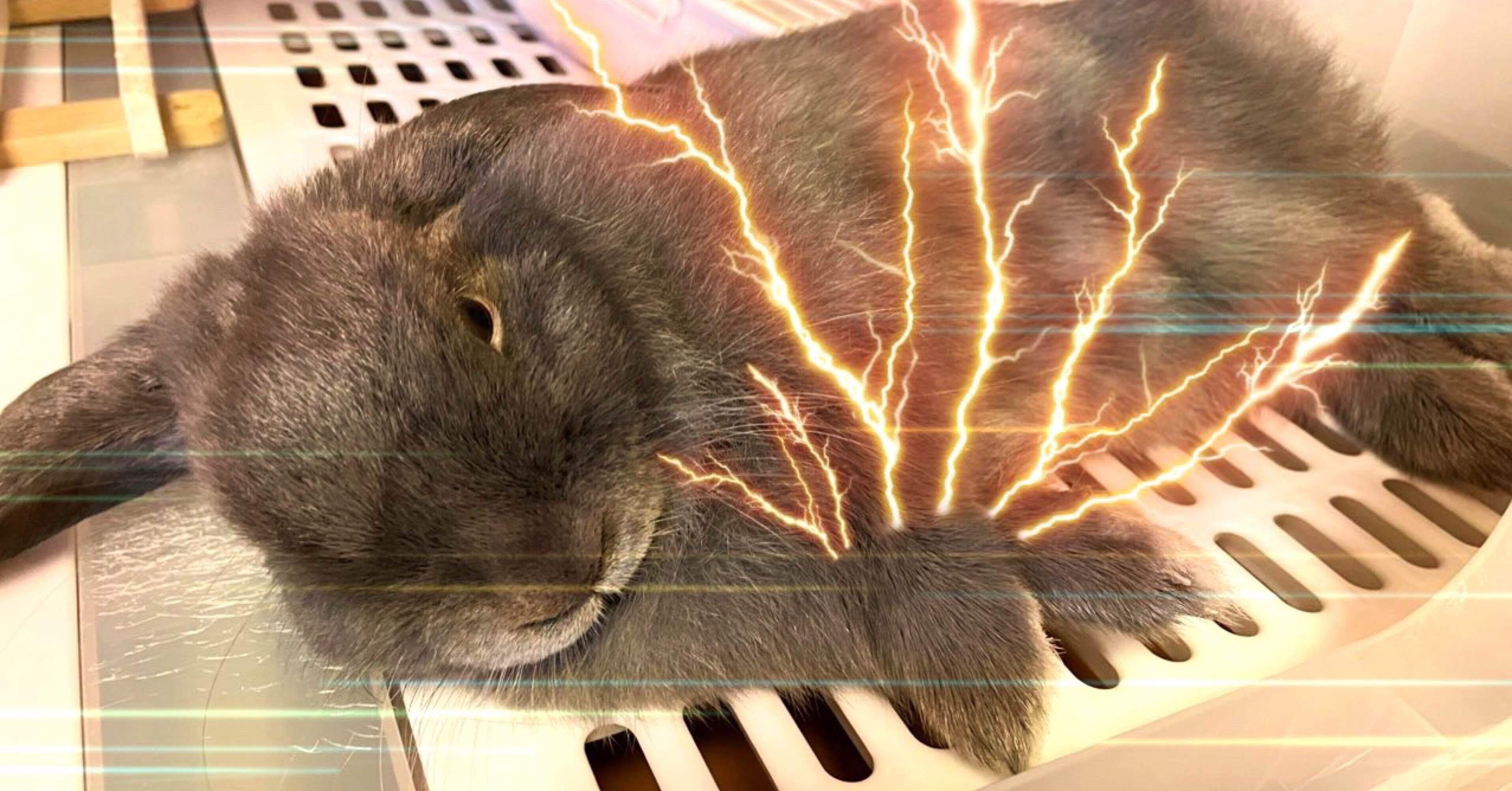 ウサの手から ミエナイチカラ げーらびーず Note ウサの手から ミエナイチカラ げーらびーず Note