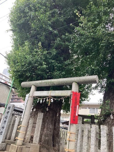 画像6