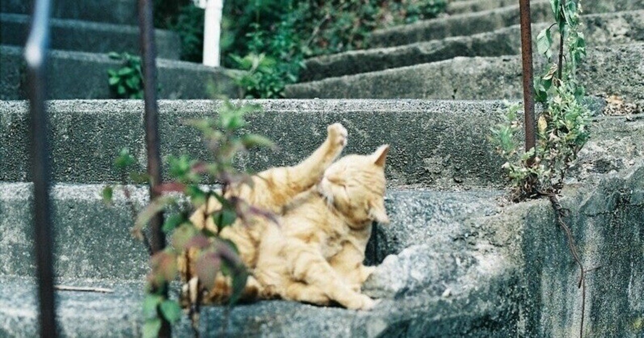 ミルクアルカリ症候群の治療