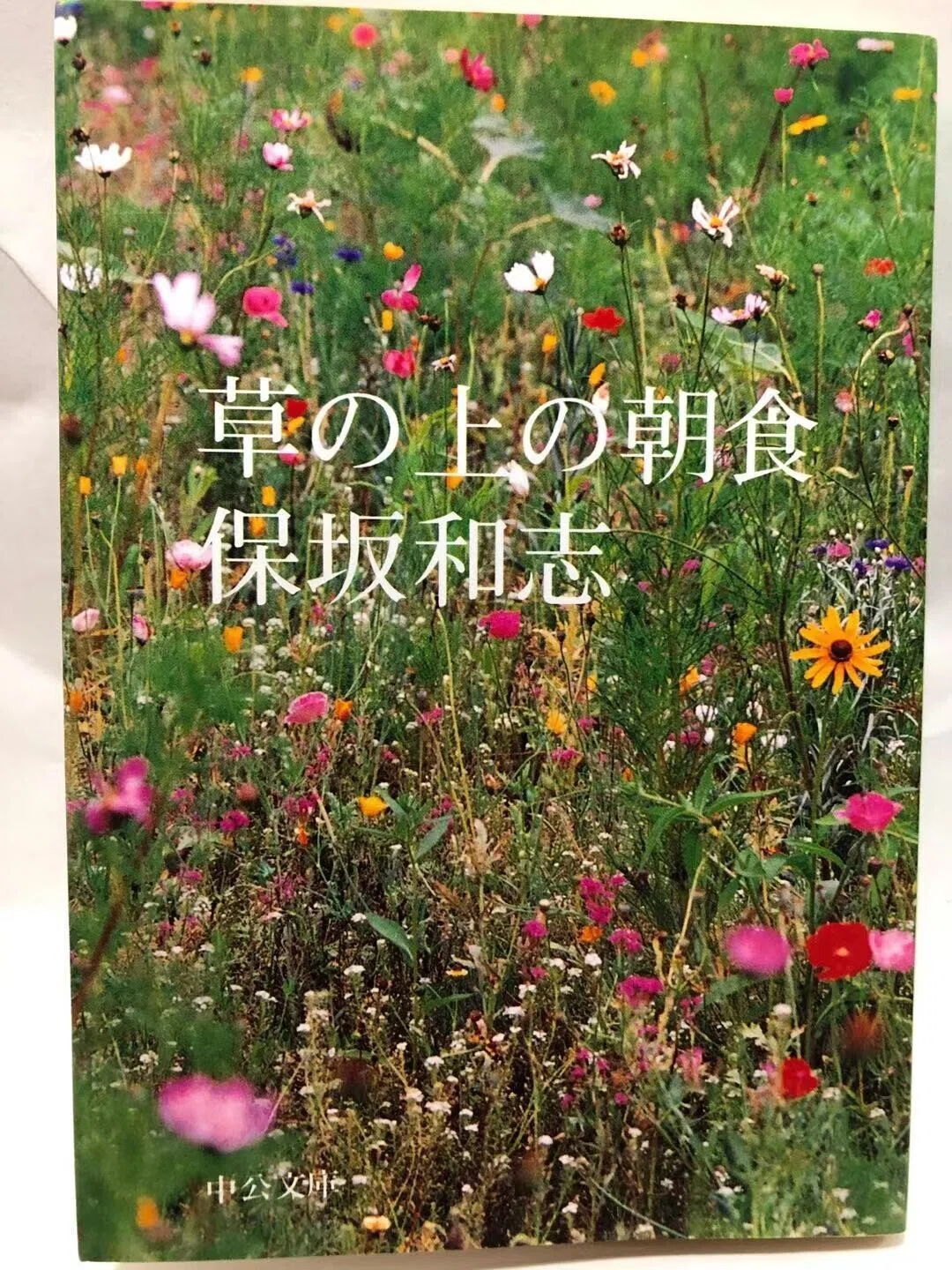 草の上の朝食