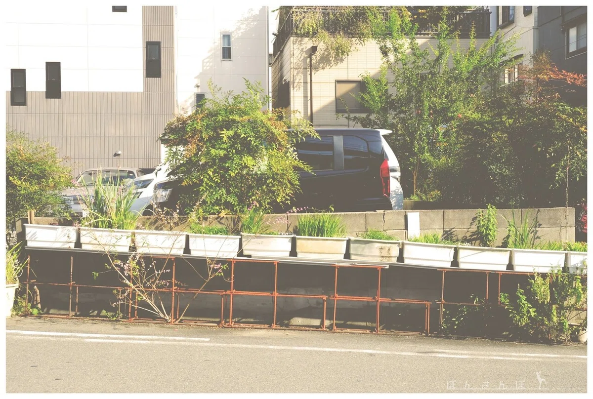 画像6