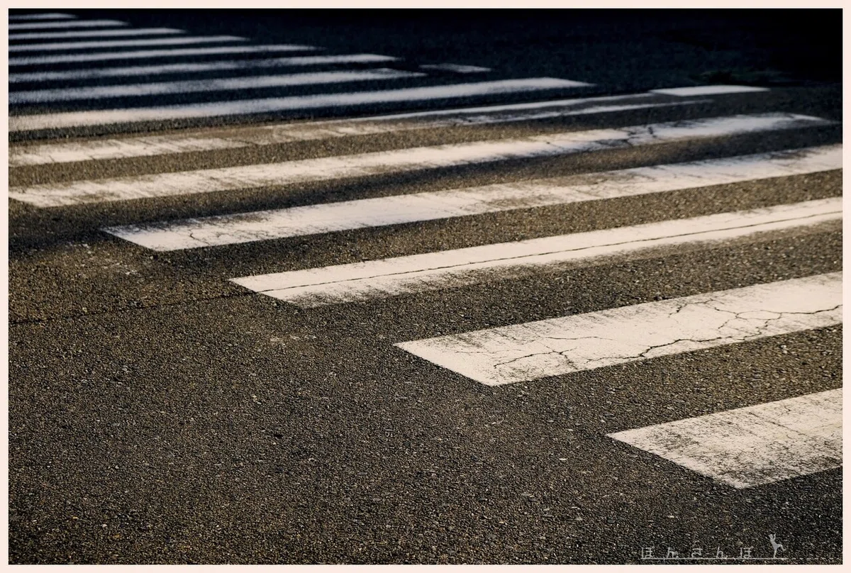 画像20