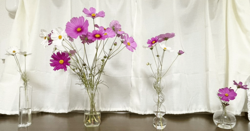 窓辺に飾る、かわいいお花たち