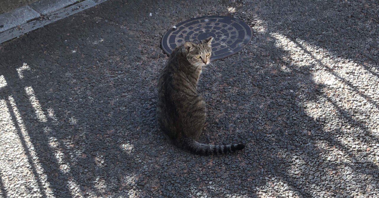 心理学者の雑学 不確かなことに耐性がないとこころの健康にはよくないのかも あおきしゅんたろう 福島県立医科大学 Note