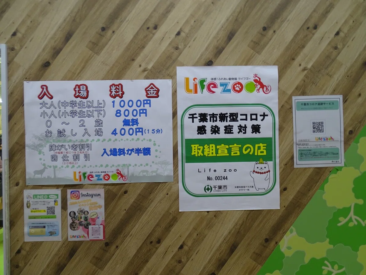 画像15