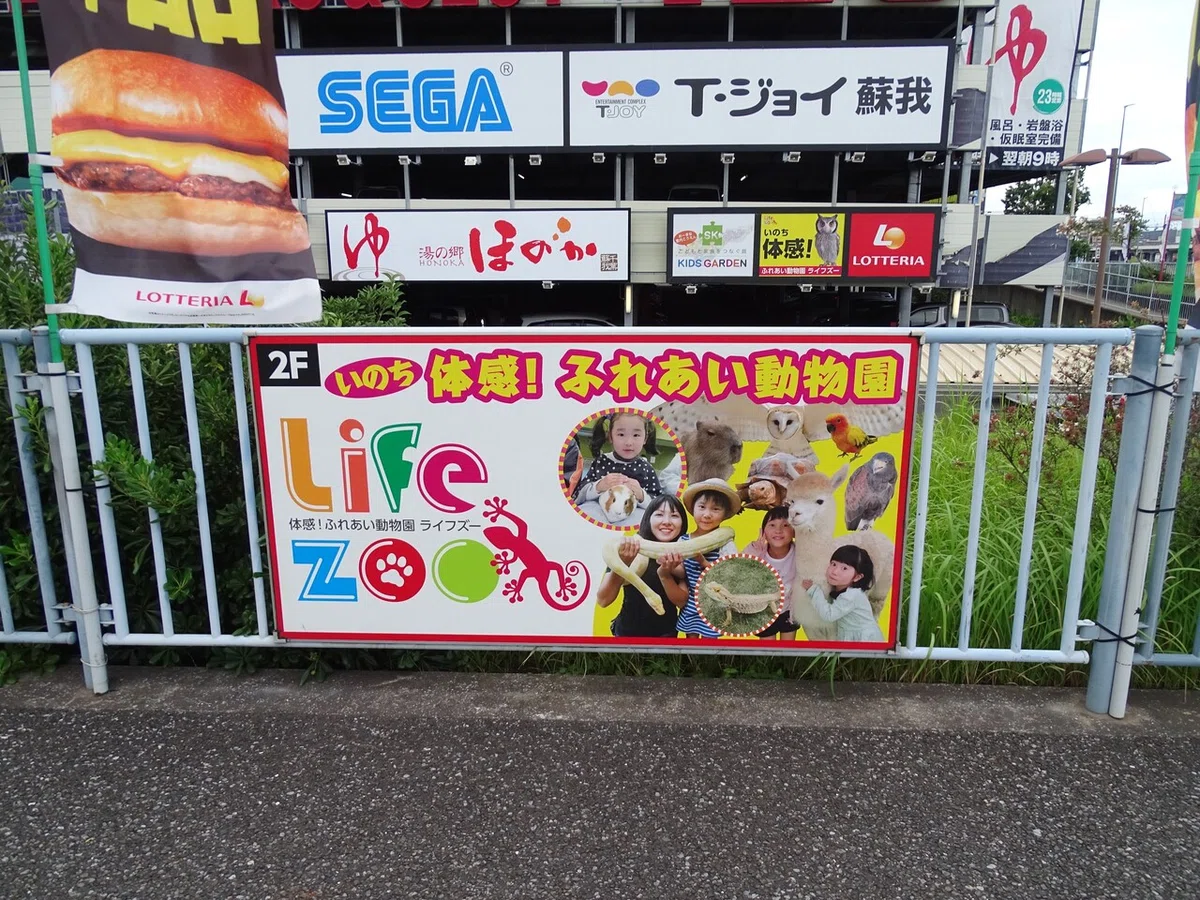 画像2