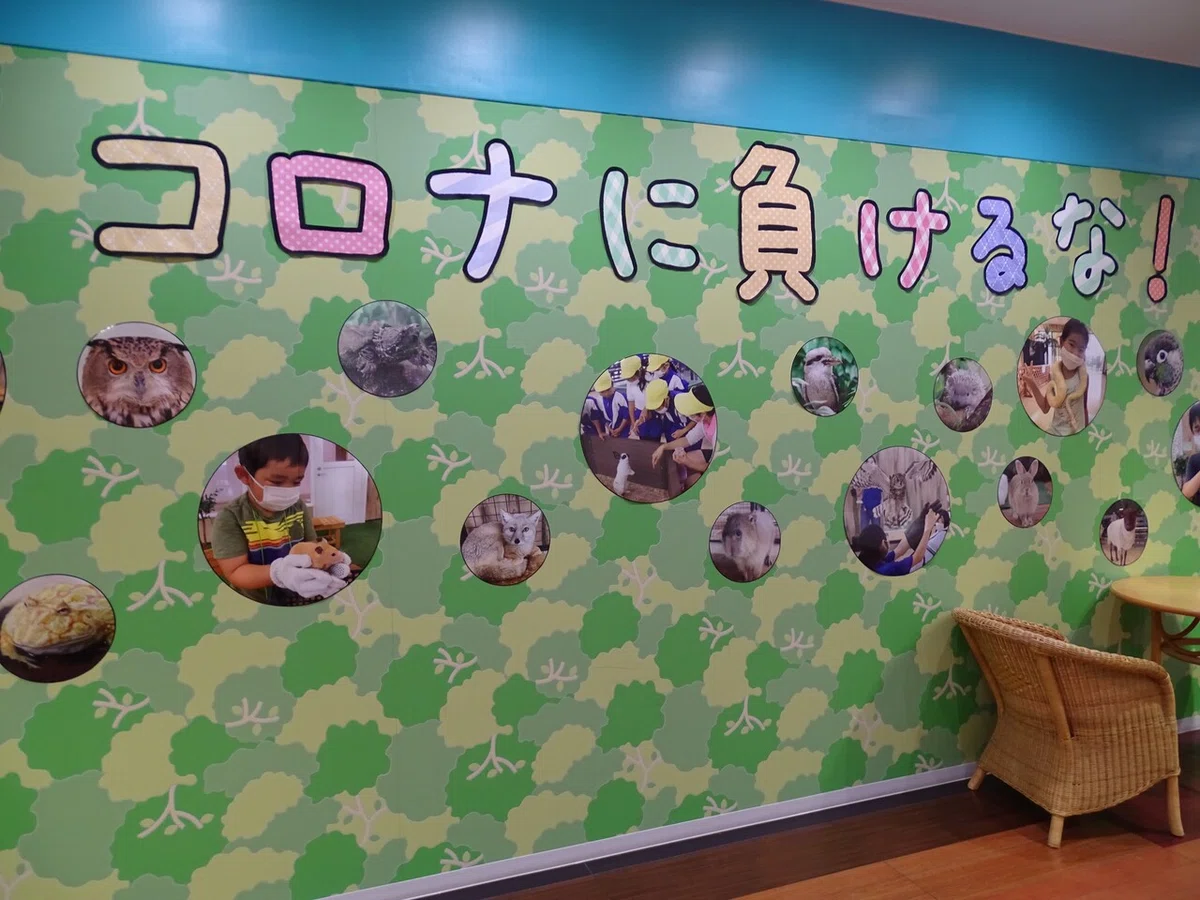 画像16