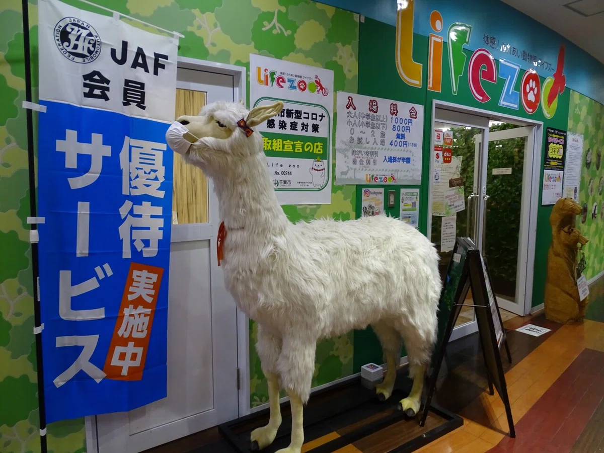 画像17