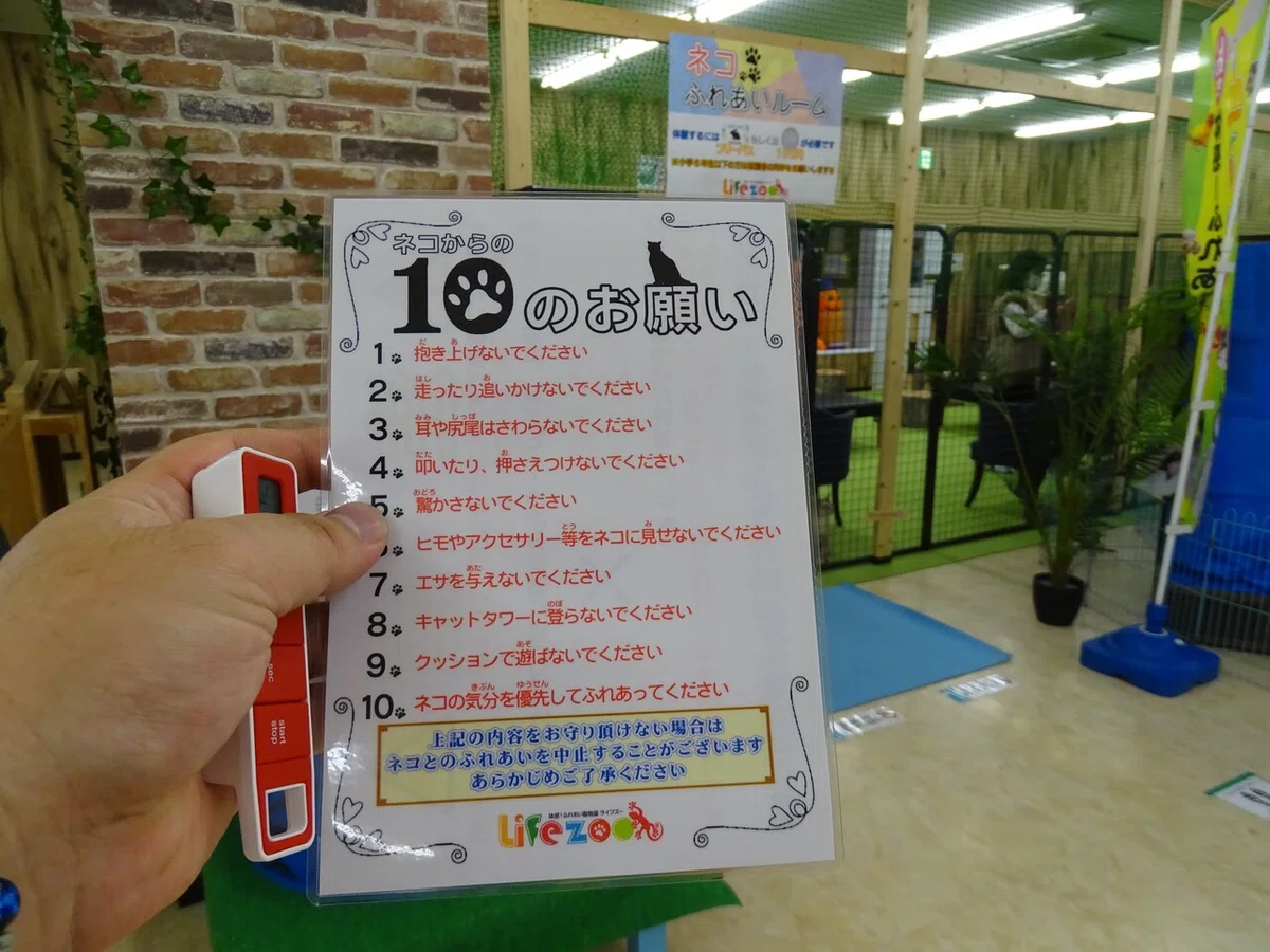 画像22
