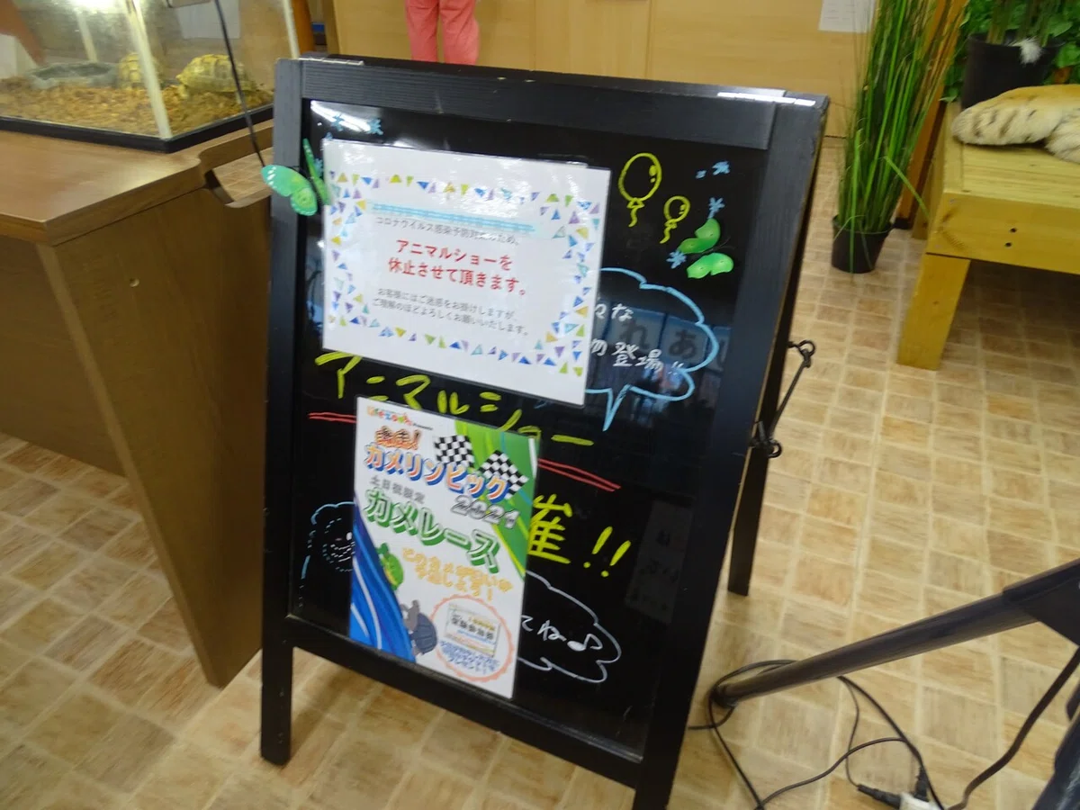 画像26