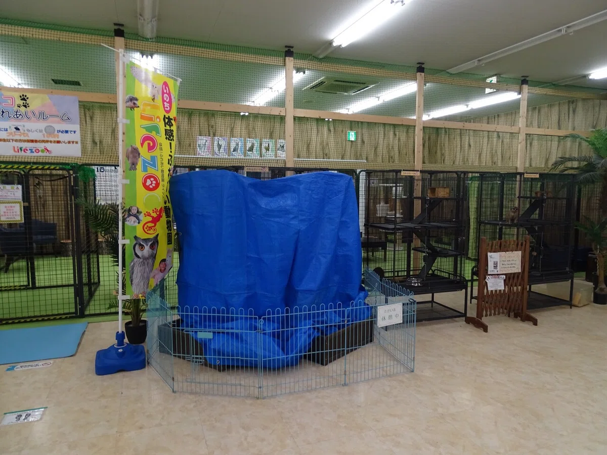 画像27