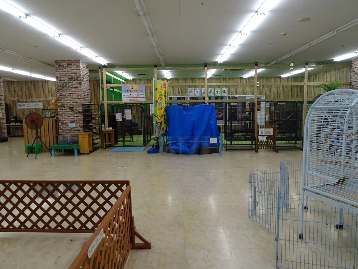 画像31