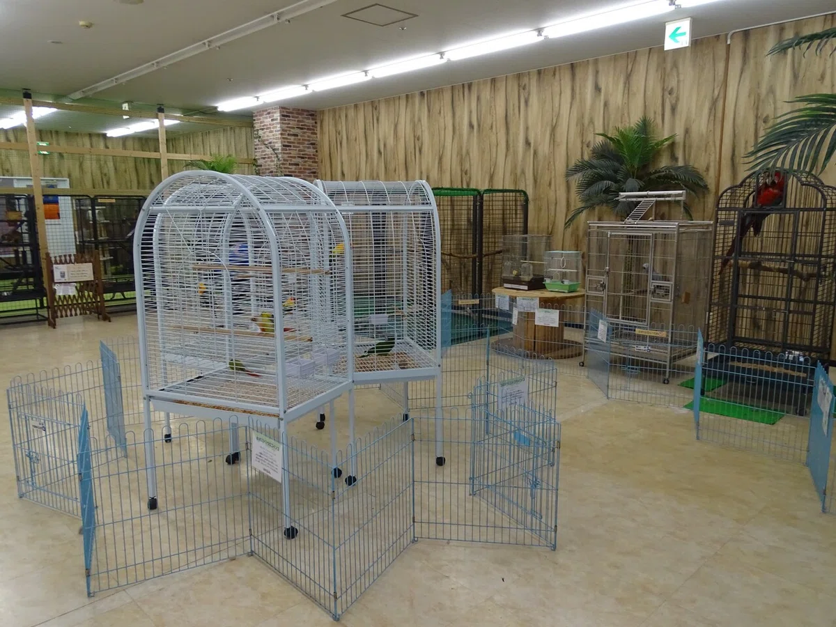 画像30