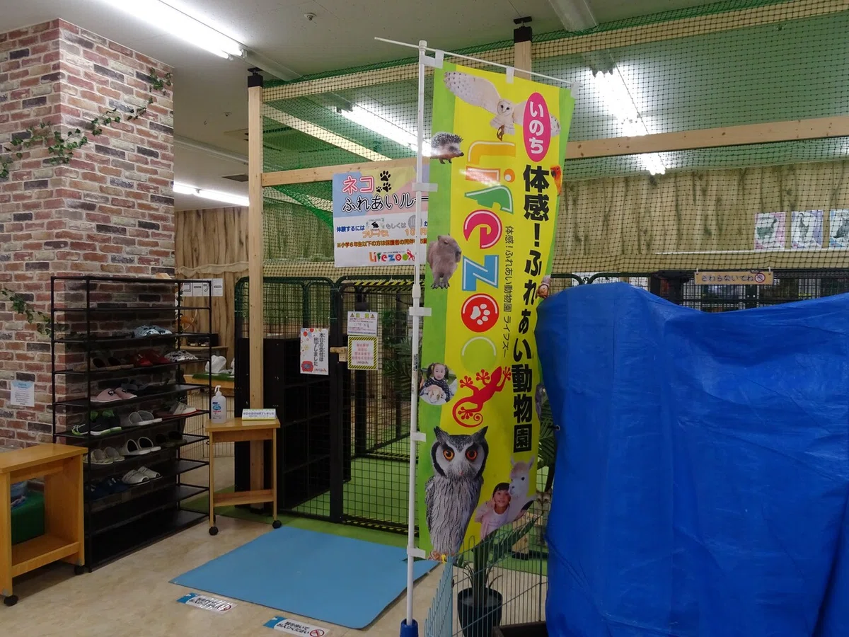 画像29