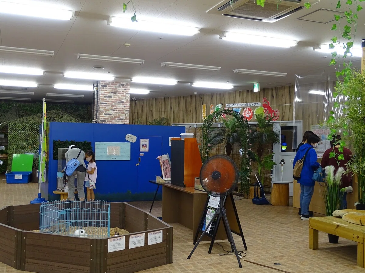 画像35