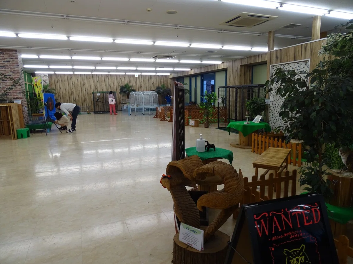 画像38