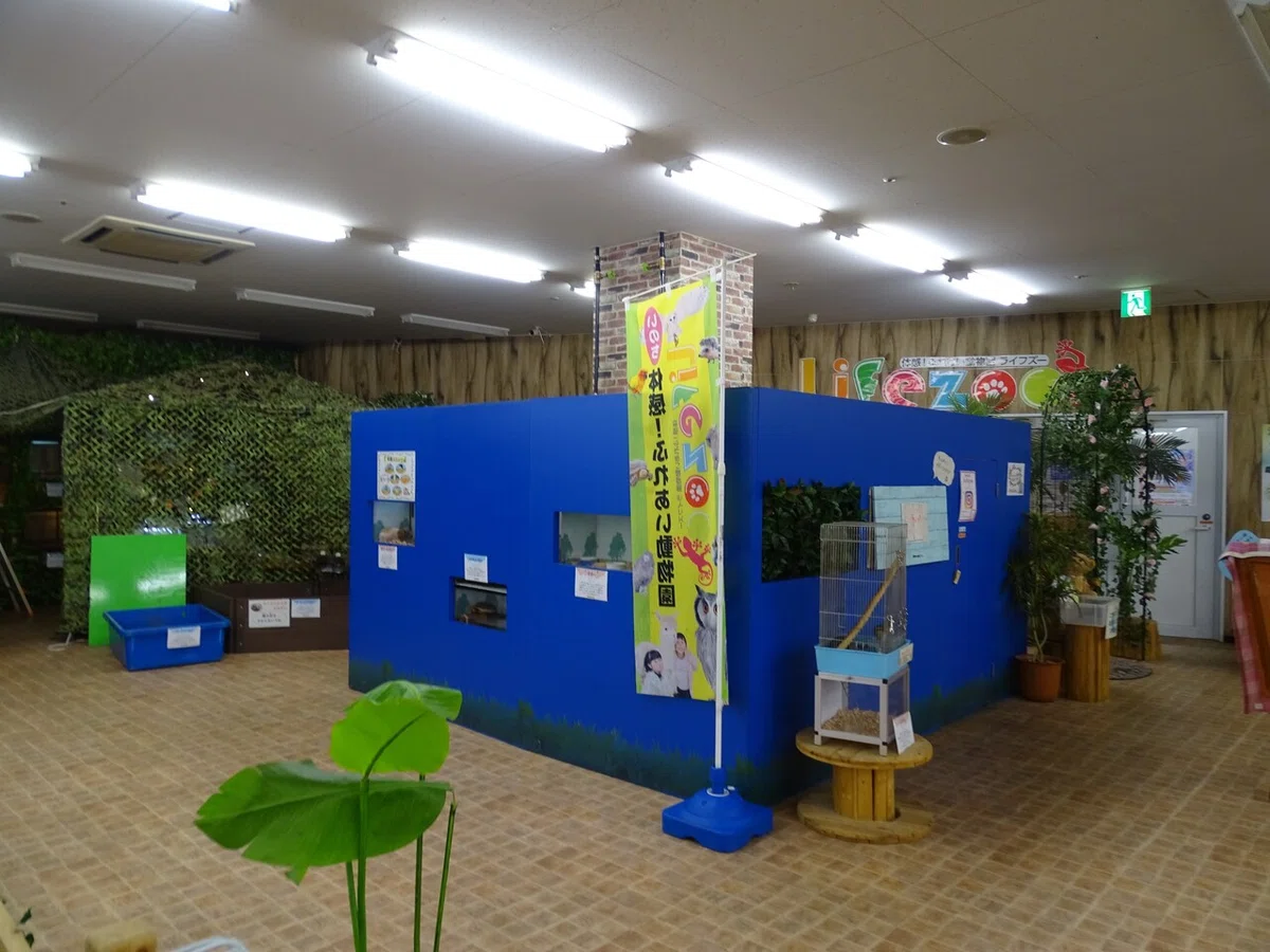 画像41