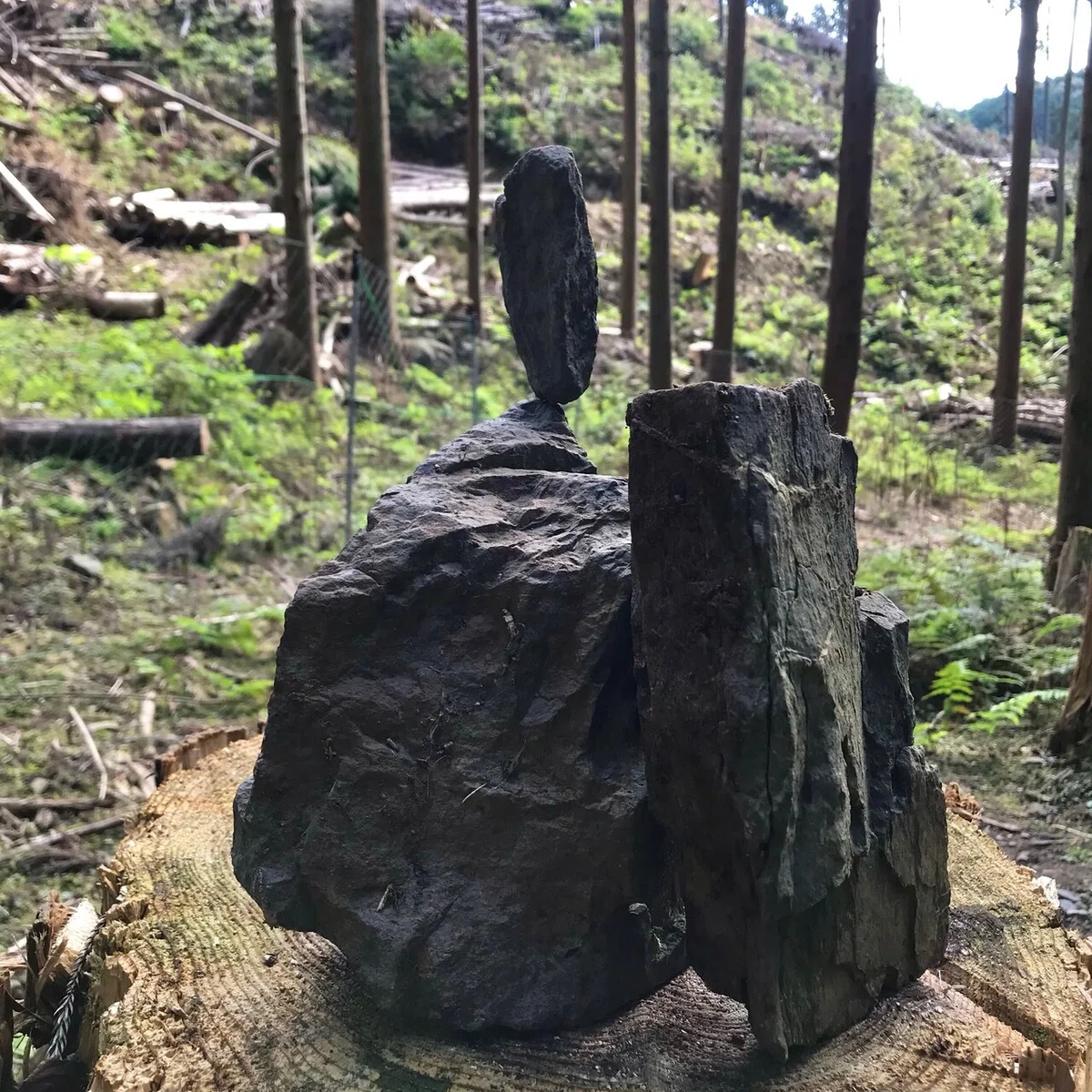 画像7
